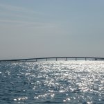 P1000437
